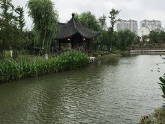 -董永七仙女文化园