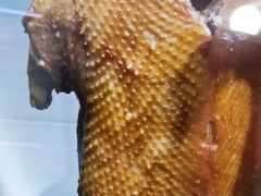 -陆记鹅庄·潮汕菜·狮头鹅(大仟里店)