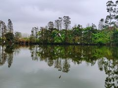 -顺峰山公园