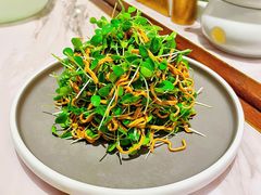 凉拌卤干丝拌香椿-喜鼎海胆水饺(平安金融中心店)