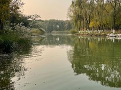 -大兴滨河森林公园