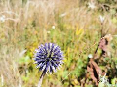 -白草畔自然风景区