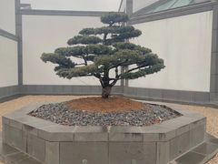 -拙政园