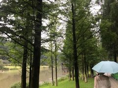 -常德桃花源景区