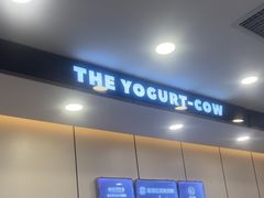 -一只酸奶牛(洪崖洞11楼店)