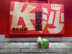 -黑色经典臭豆腐·湖南特产(太平街口店)