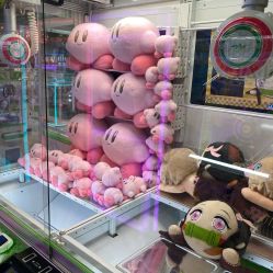 -莫莉幻想儿童乐园(武汉经开永旺店)