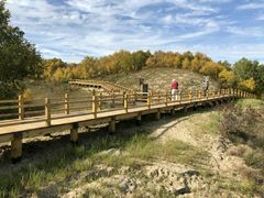 -塞罕坝国家级自然保护区