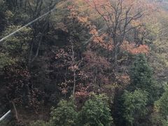 -紫金山索道-售票处