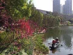 -重庆彩云湖湿地公园