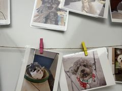 -瑞派康怡24h宠物医院·犬猫医疗中心·微创绝育(瑞景分院)