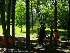 -亲兄弟真人CS团建拓展基地