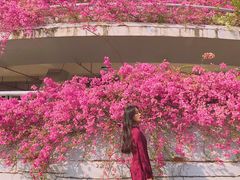 -深圳仙湖植物园-停车场