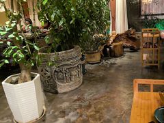 -慢丽江·云南野生菌土鸡锅(付家庄店)