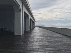 -港珠澳大桥(珠海段)