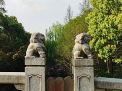 -同里国家湿地公园