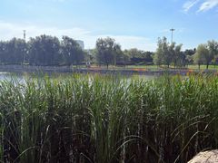 -长春世界雕塑园冰雪艺术天地