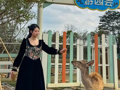 -盈香心动乐园