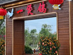 -一煲鸽