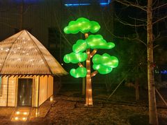 -南宫五洲植物乐园