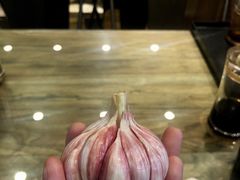 -清真益鑫羊肉手抓馆(南大街店)