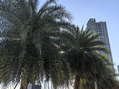 -深圳湾公园(南山区)