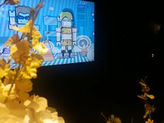 -黑桃K生日订制KTV