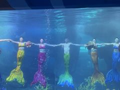 -泉城欧乐堡海洋极地世界
