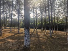 -艾溪湖湿地公园