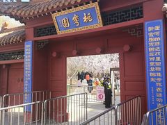-桃花堤公园
