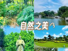 -南宁南湖公园