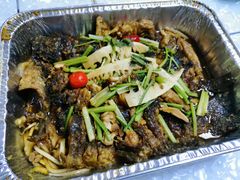 -老板恋上鱼(荣盛广场店)