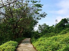 -南山植物园