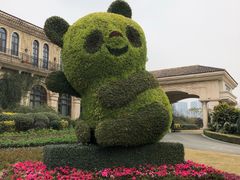 -府河摄影公园