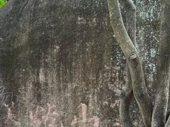 -火炉山森林公园