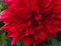 -羊亭河湿地公园