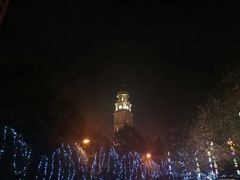 -上海浦东星河湾酒店