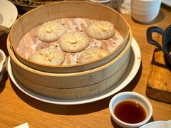 -庆春朴门