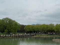 -苏州太湖湖滨国家湿地公园