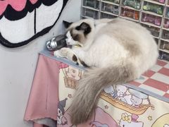 -重庆熙街