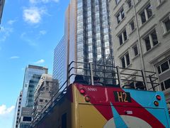 -Big Bus Tours 敞篷观光巴士