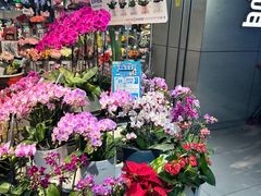 -盒马鲜生(龙德广场店)