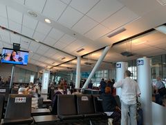 -蒙特利尔皮埃尔·埃利奥特·特鲁多国际机场