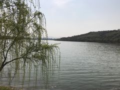 -羊山湖公园