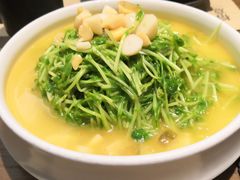 上湯豆苗-榕意·川味之美(深业上城店)