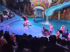 -烟台海昌鲸鲨海洋公园