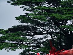 -萍乡武功山风景名胜区