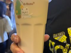 -猫的魔法密林(衣裳街店)