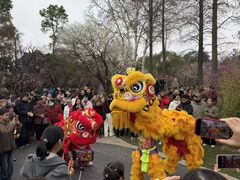 -无锡梅园公园