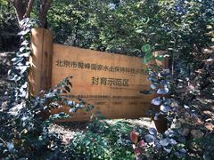 -北京鹫峰国家森林公园